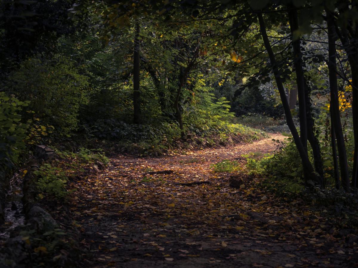 Hello Again: Life & Blog&nbsp;Update